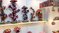 Natural Dry Flowers की अनोखी प्रदर्शनी | UPITS 2026 | India Expo Mart | Greater Noida