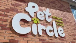 Waco animal advocate pushes city to address stray dog crisis