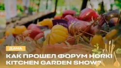 10/03/26 dacha