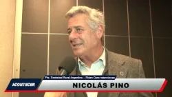 2nd Edition 10/01 Nicolas Pino