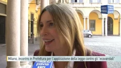 Milan, Cultural Summit at the Prefecture on Enforcing the Law Against 'Eco-Vandals'