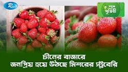 চীনের বাজারে জনপ্রিয় হয়ে উঠছে মিশরের স্ট্রবেরি | Sobuj Prithibe Clips | Rtv