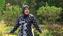 ANNIVERSARY SARY & FRIENDS SINGING AND DANCING KE 7