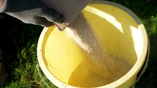 Geste du Mois : Plantation d'une haie au mois de Novembre