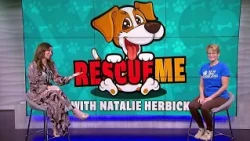 Rescue Me with Fido's Companion Rescue, Inc.