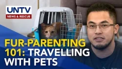 Safe Pet Travel Tips: Paano Magdala ng Pets sa Biyahe? | Good Morning Kuya
