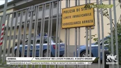 Altotevere News 10/02/2026