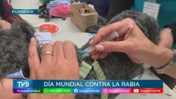 World Rabies Day: Regional Health Ministry deploys vaccination campaigns