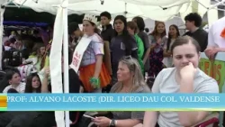 Canal 4 News DLF