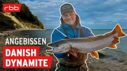 So fangt Ihr Meerforellen in Dänemark | Angebissen #207 | Angelpodcast
