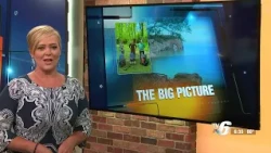 The Big Picture - Part 1