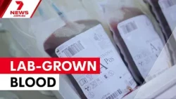 Australian lab growing precious blood | 7NEWS