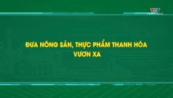 Report: Expanding the Reach of Thanh Hoa's Agricultural and Food Products | Thanh Hoa Television