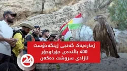 ژمارەیەک گەنجی ژینگەدۆست 400 باڵندەی جۆراوجۆر ئازادی سروشت دەکەن