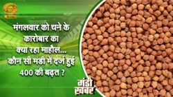 Market News: What was the situation like for chickpeas on Tuesday? Which market saw a gain of ₹400?