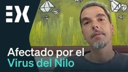 Infected with the #WestNileVirus | Ahora Extremadura