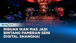 Goldfish Theatre Shanghai Gabungkan Seni Digital dan Akuarium