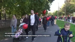 Ziua mondiala a inimii