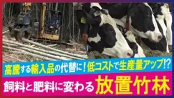 【LBS】厄介者の放置竹林を飼料・肥料に活用