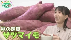 [Veggie Savings] Sweet Potatoes