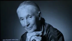Jane Goodall öröksége Székesfehérváron