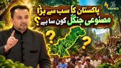 Which Is the Largest Artificial Forest in Pakistan? | Learn Interesting Facts