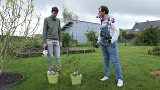 Geste Technique : lutter contre les pucerons et les cochenilles
