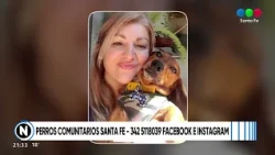 Adoption campaign continues by Perros Comunitarios Santa Fe