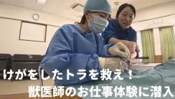 [Tobetobe ZOO] We infiltrated a veterinarian's job experience, using actual instruments for anest...