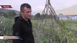 Վարունգից մինչև եգիպտացորեն․ կարկուտը վնասել է Սվերդլովի տնամերձ տնտեսությունները