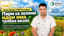 Подкаст: Денис Иванов, WWF България: Пари за зелени идеи има, трябва визия