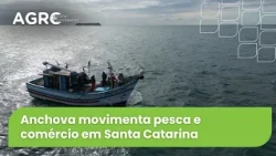 Agro Saúde e Cooperação - Pesca da Anchova