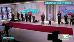 Cani e Gatti e Compagnia - live Taietti 28.09.2026