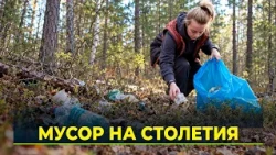 The Mark Vacationers Leave on the Forests of Yamal