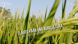 Keys to Climate-Smart Agriculture - TvAgro by Juan Gonzalo Angel