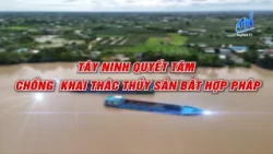 Phóng sự chuyên đề: Tây Ninh quyết tâm chống khai thác thủy sản bất hợp pháp | TayNinhTV