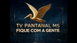 VINHETA 16A ANO 2026