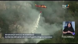 Wildfire ravages 423 hectares in Domogled-Cerna Valley National Park #RegionalNews @TVRTM