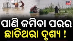 Kanas Hit by Back-to-Back Floods | 5 Days of Waterlogging, Farmers Face Heavy Losses