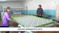 Еңбекке бейімделген орта