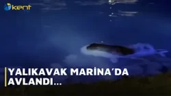 HUNTED IN YALIKAVAK MARINA...