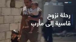 Yemenis travel over 1,300 kilometers to escape the horrors of war