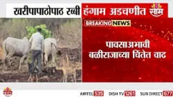 खरीपापाठोपाठ रब्बी हंगाम अडचणीत | Maharashtra Rabi Season