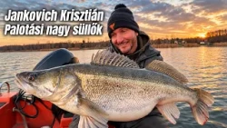 12 kg feletti példánnyal: Jankovich Krisztián - Palotási nagy süllők