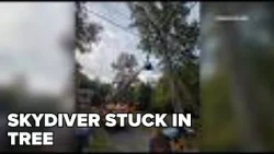 Skydiver rescued from tree in Lebanon after losing control