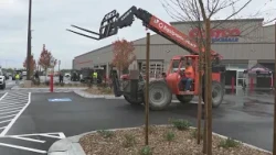 Costco opening Lee's Summit location as Kansas City location closes for transition