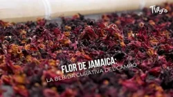Hibiscus: The Healing Drink from the Countryside - TvAgro by Juan Gonzalo Angel