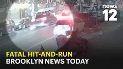 Brooklyn News Today: Hit-and-run arrest in actor's death, school gun arrest