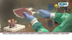 POLLA BLOOD DONATION SERVICE