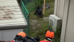 Preparing for Bear Sightings: Otsu City Conducts First Emergency Hunting Drill